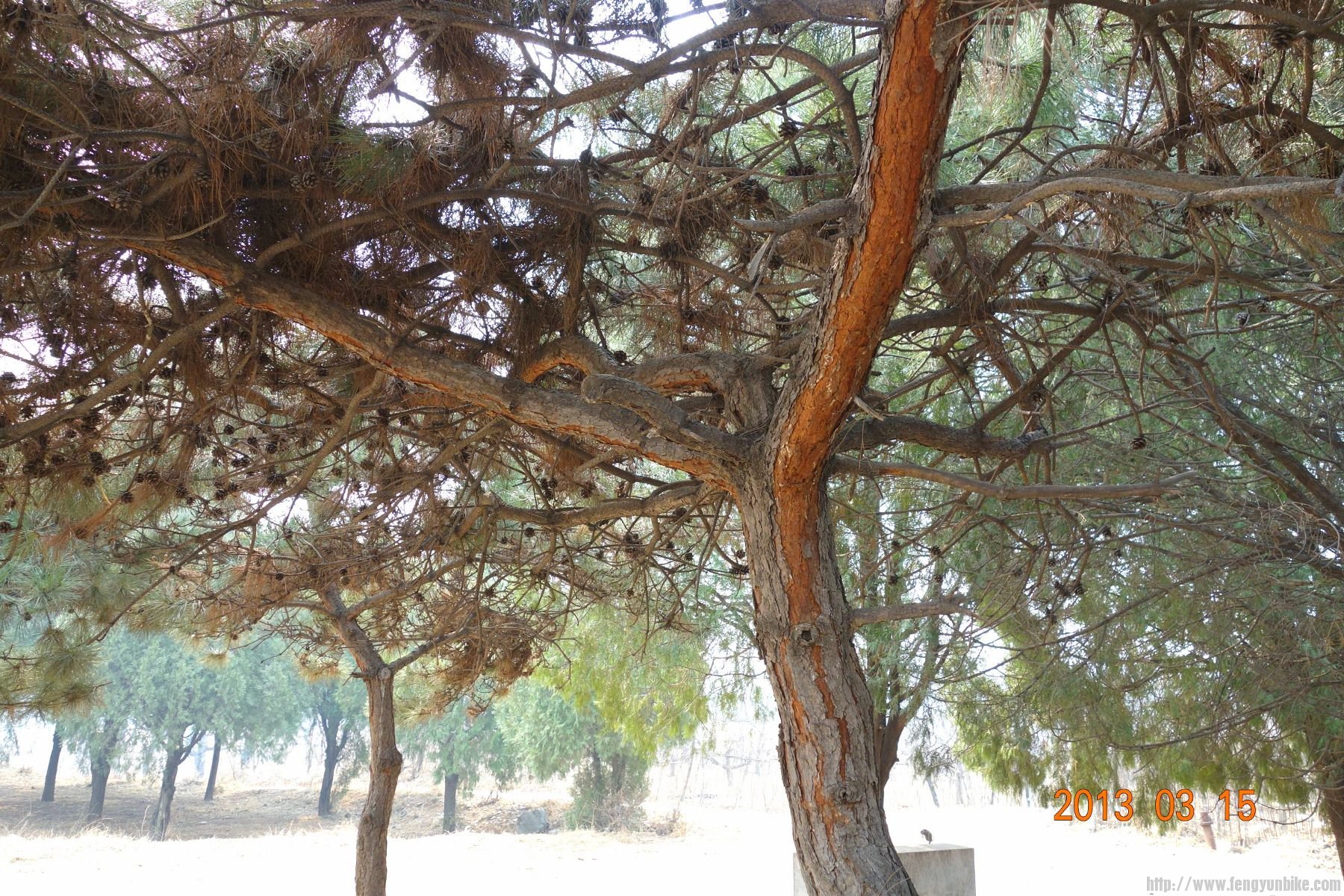 DSC06136 (2600x1733)_副本 (1800x1200).jpg