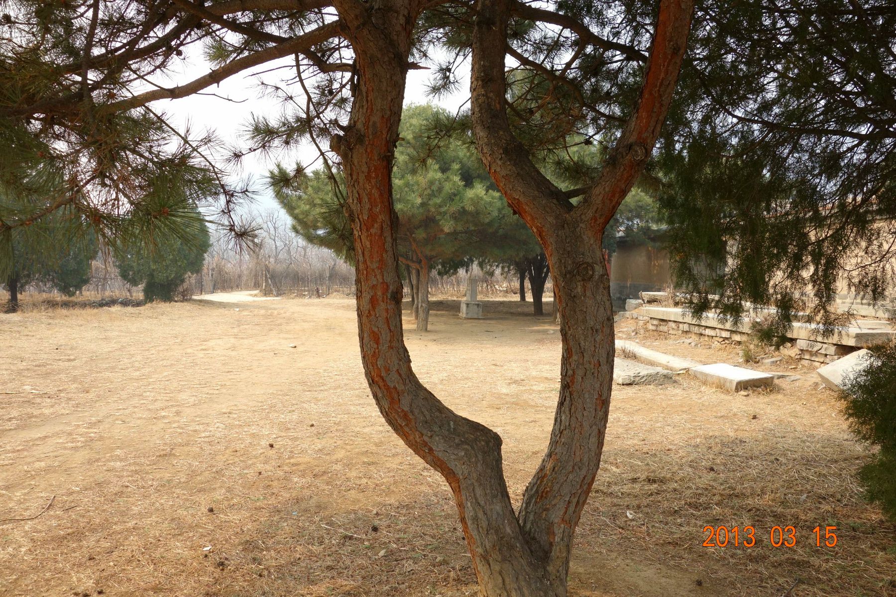 DSC06163 (2600x1733)_副本 (1800x1200).jpg