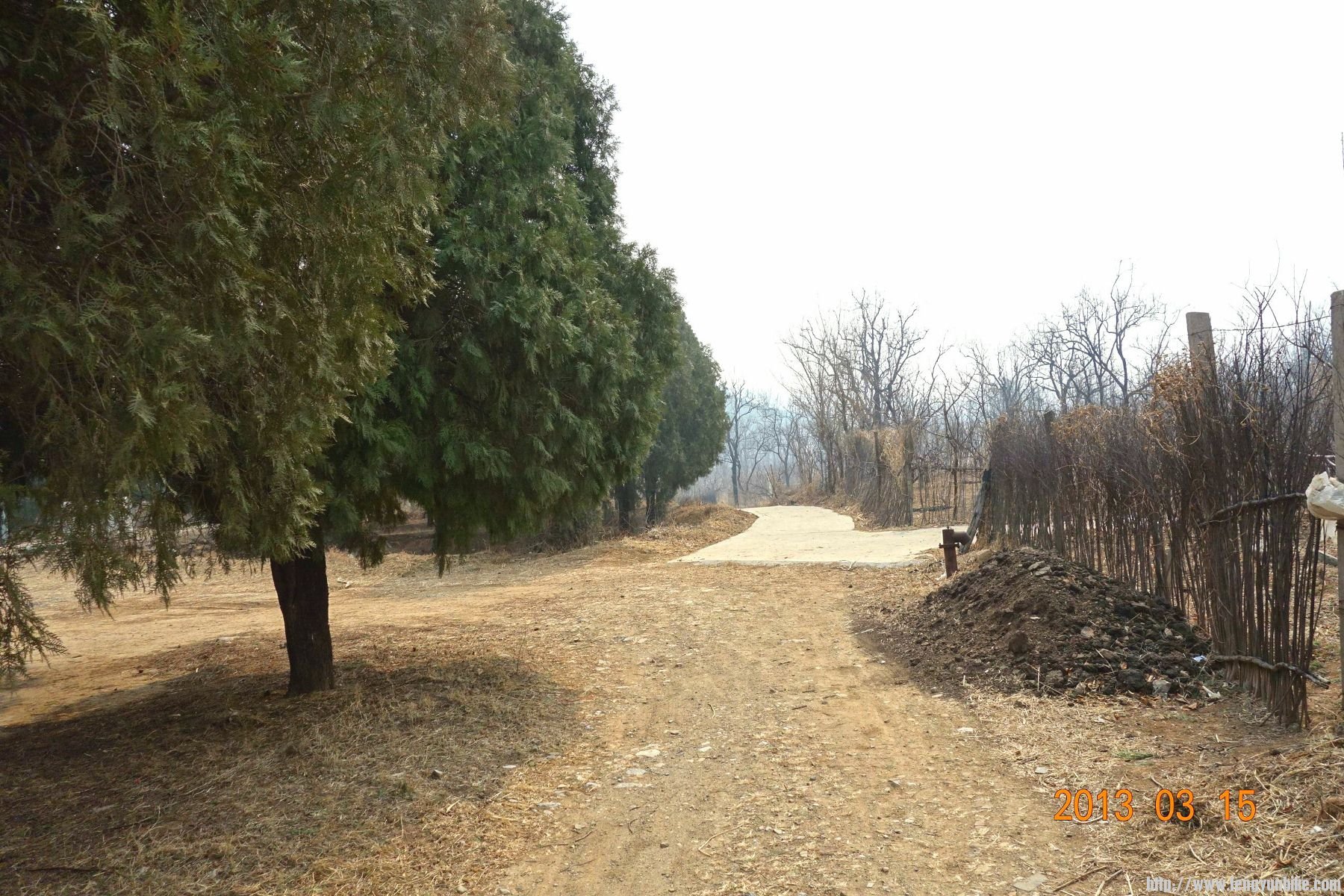 DSC06168 (2600x1733)_副本 (1800x1200).jpg