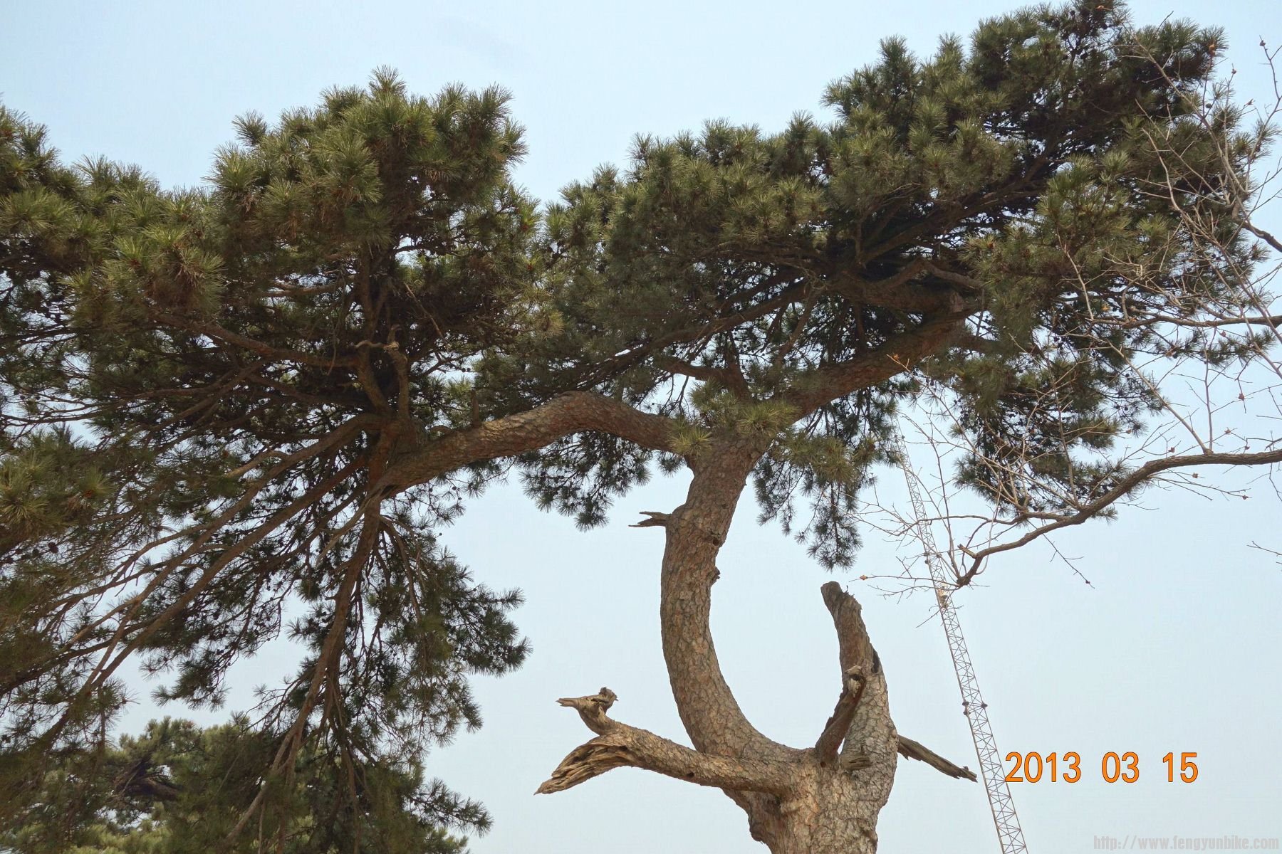 DSC06171 (2600x1733)_副本 (1800x1200).jpg