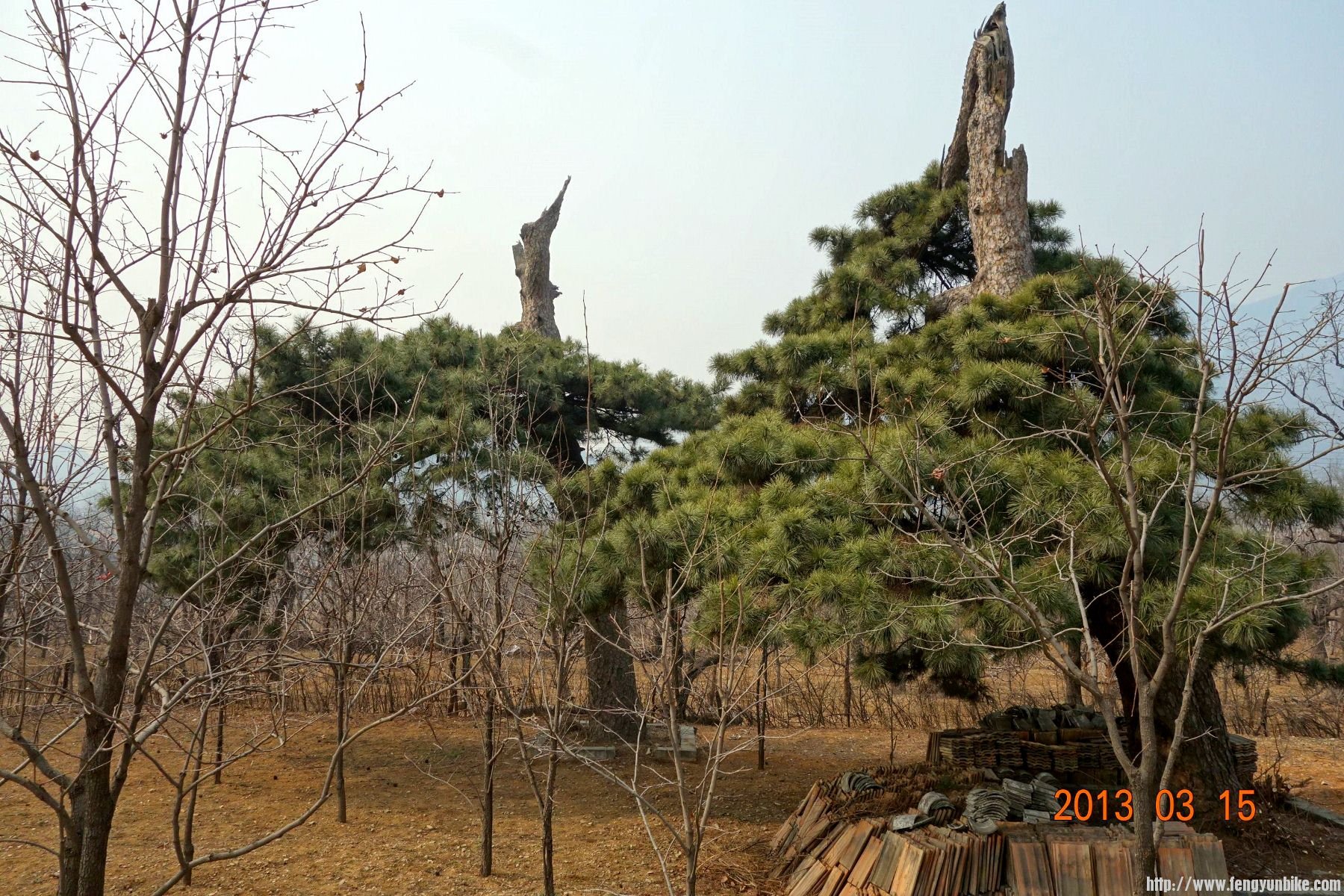 DSC06172 (2600x1733)_副本 (1800x1200).jpg