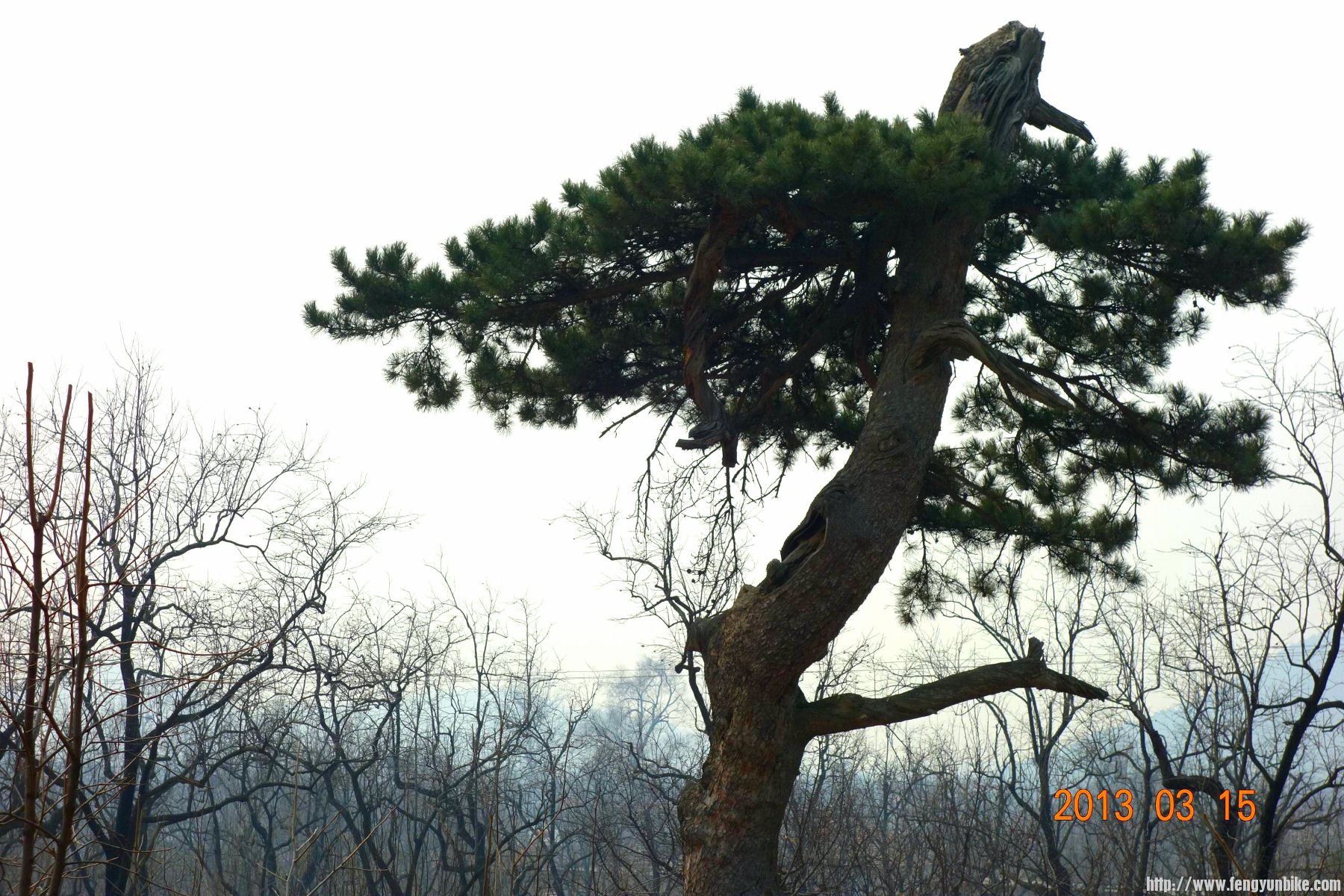 DSC06173 (2600x1733)_副本 (1800x1200).jpg