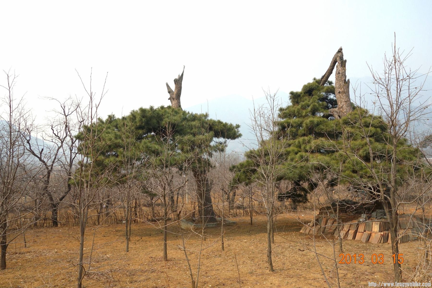 DSC06174 (2600x1733)_副本 (1800x1200).jpg