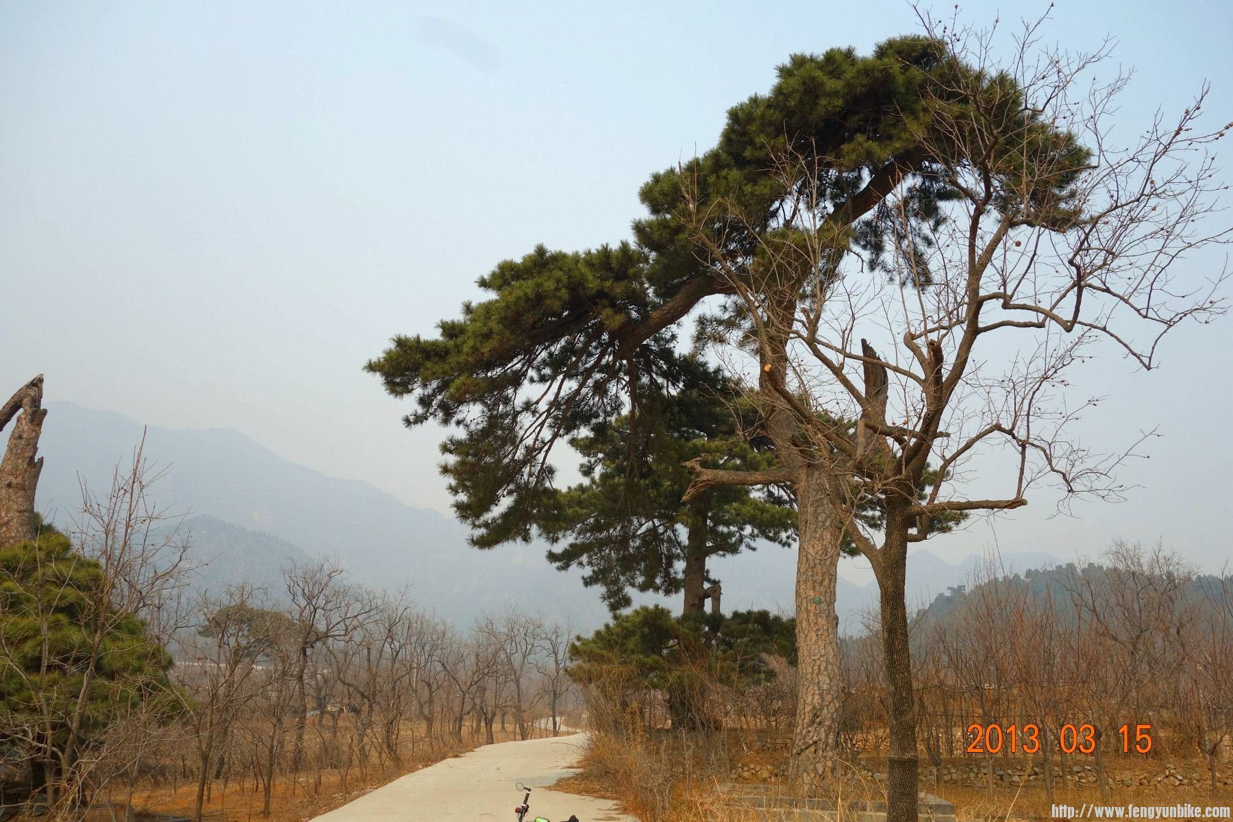 DSC06176 (2600x1733)_副本 (1800x1200).jpg