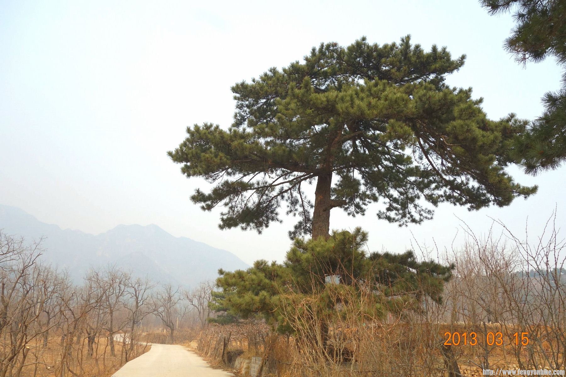 DSC06178 (2600x1733)_副本 (1800x1200).jpg