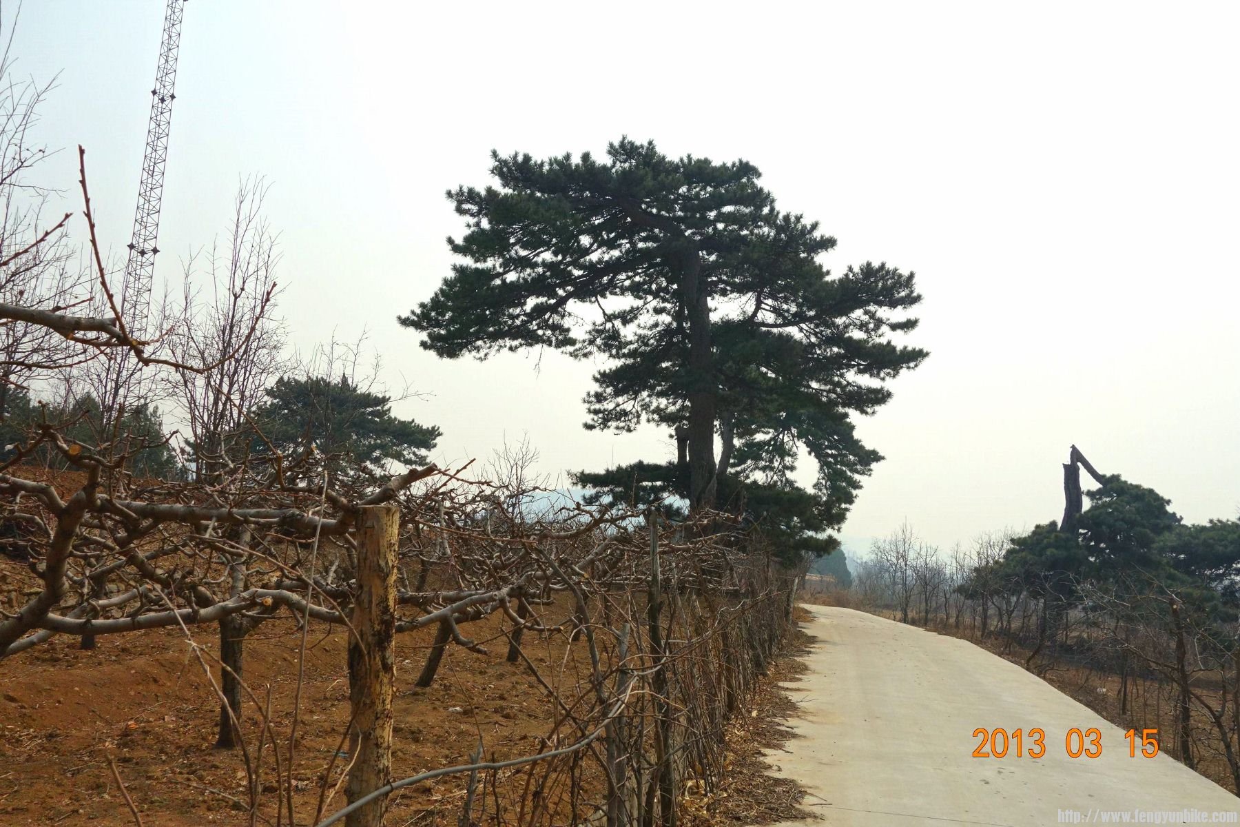 DSC06180 (2600x1733)_副本 (1800x1200).jpg