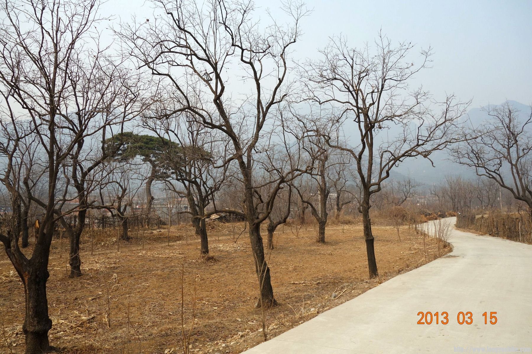 DSC06181 (2600x1733)_副本 (1800x1200).jpg