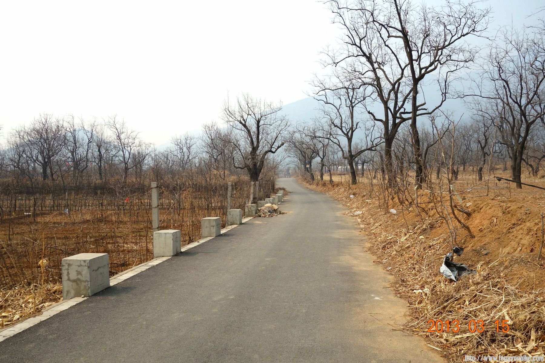 DSC06183 (2600x1733)_副本 (1800x1200).jpg