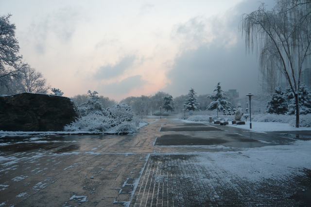 隔着雕塑公园门