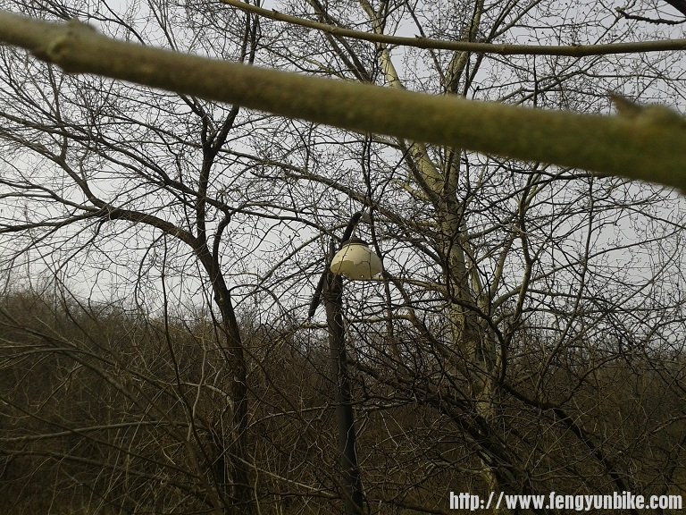 2013-03-16 10.01.57.jpg