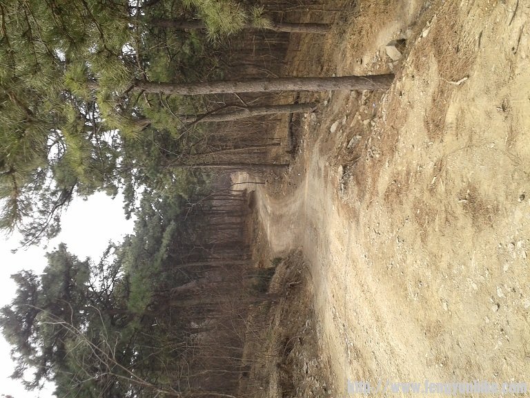 2013-03-16 11.03.11.jpg