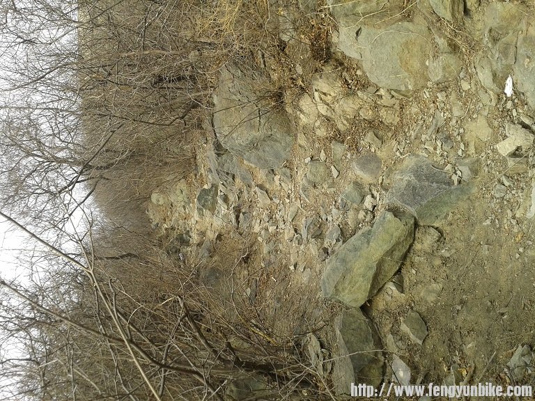 2013-03-16 11.08.30.jpg