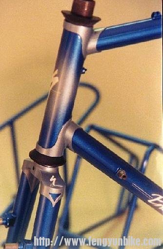 SilverBlueContrast lugs.jpeg