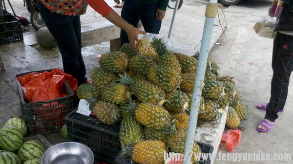 兴隆买个菠萝吃，挺贵的，2块一斤，路上路过种菠萝的地方问是2块一个，嫌重没买，后悔啊。 ... ... ...