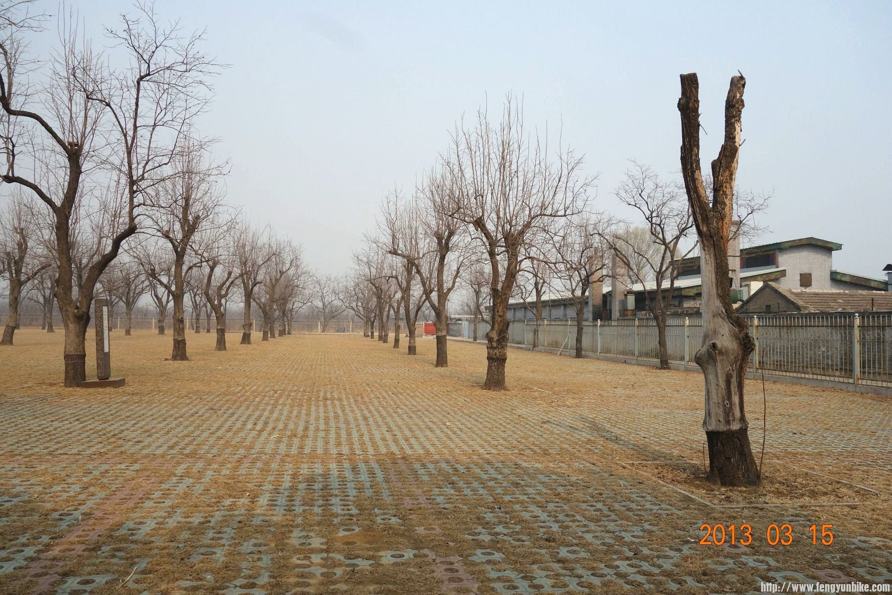 DSC06281 (2600x1733)_副本 (1800x1200).jpg