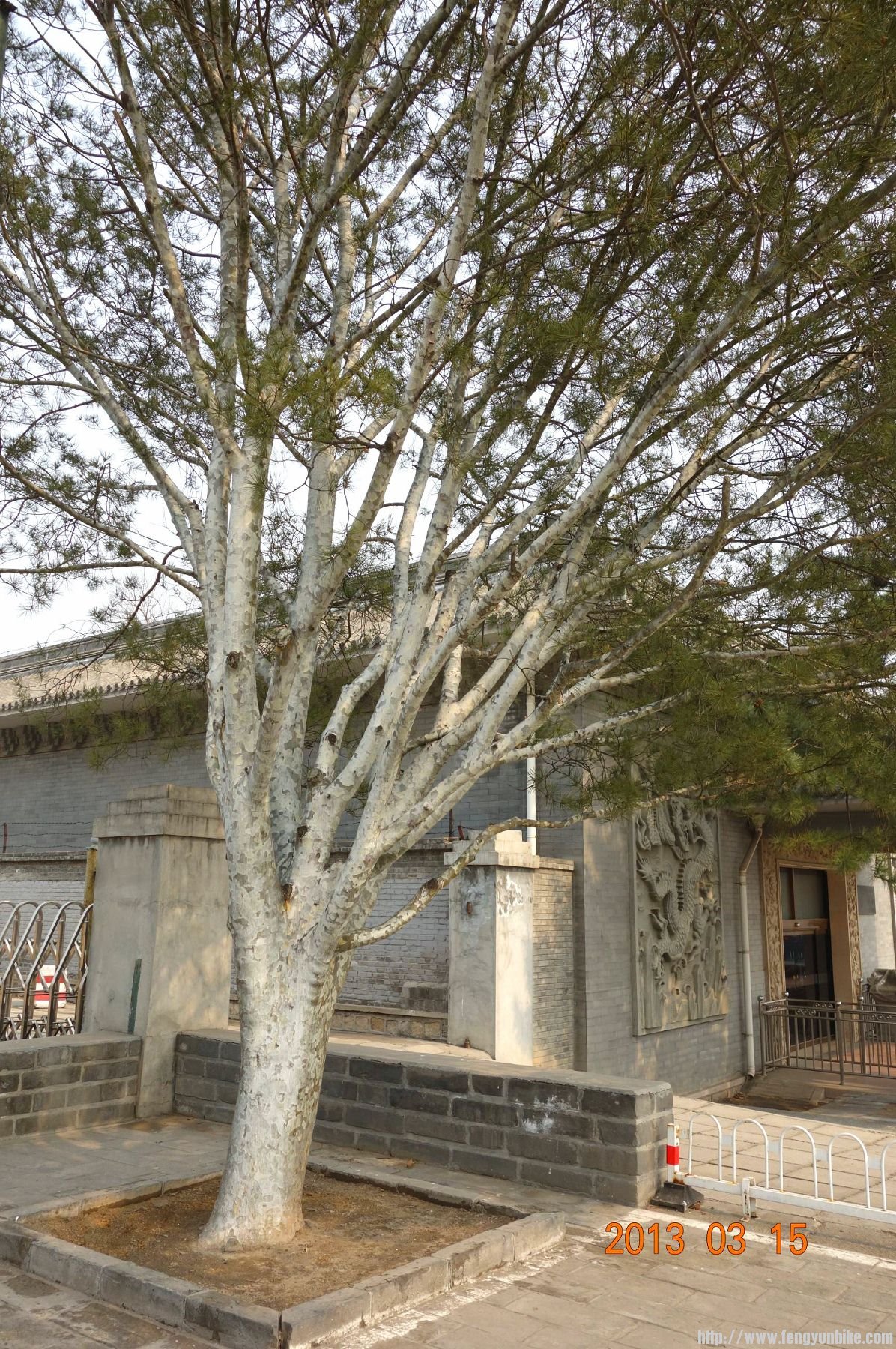 DSC06282 (2600x1733)_副本 (1196x1800).jpg