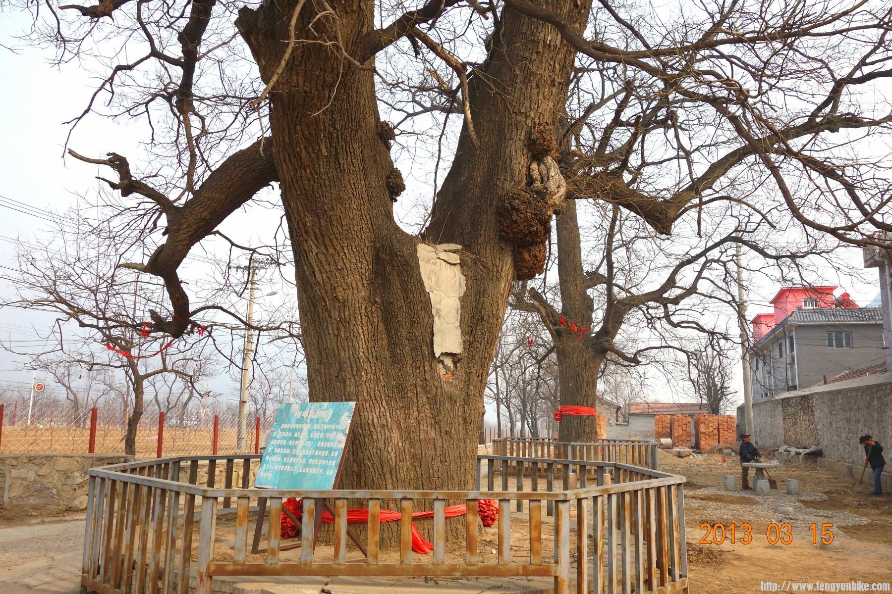 DSC06316 (2600x1733)_副本 (1800x1200).jpg