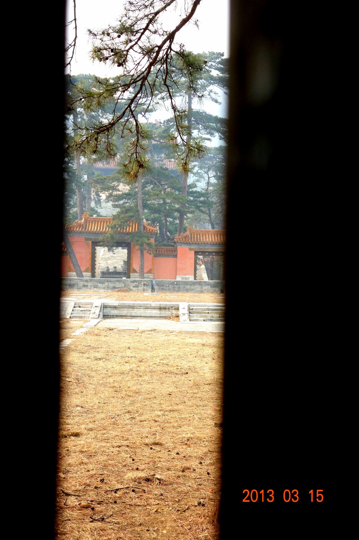 DSC06339 (2600x1733)_副本 (1196x1800).jpg