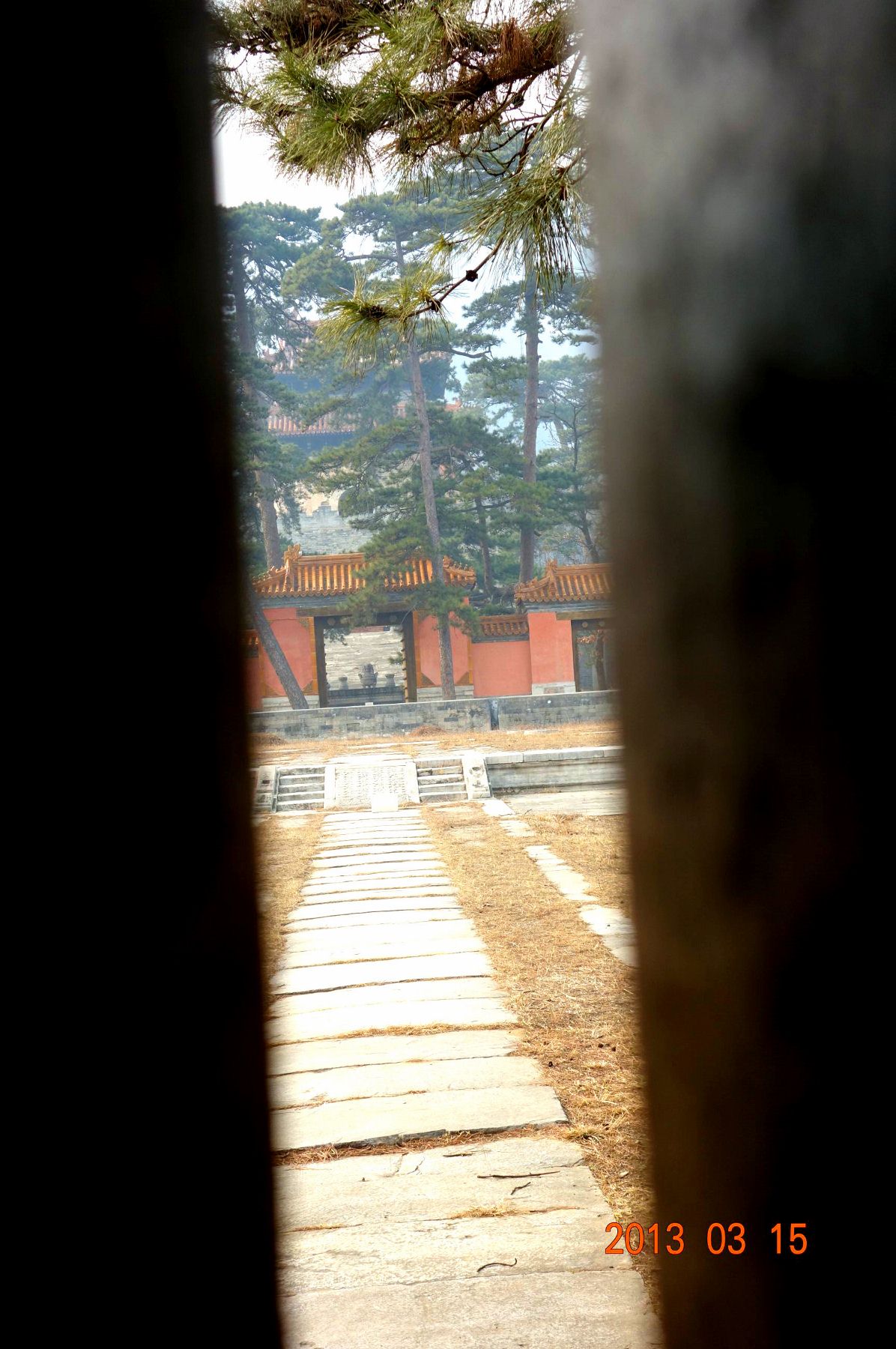 DSC06340 (2600x1733)_副本1 (1196x1800).jpg