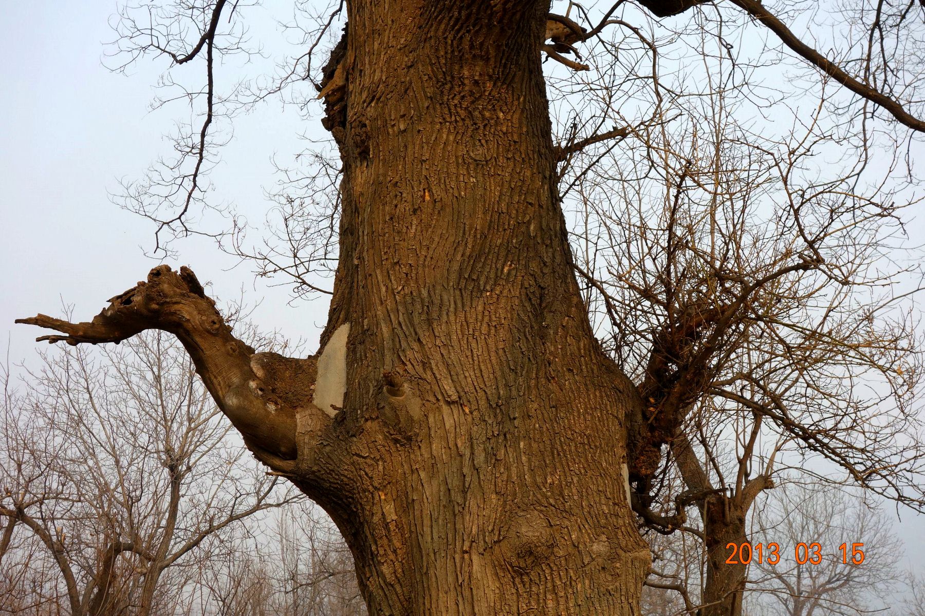 DSC06348 (2600x1733)_副本 (1800x1200).jpg