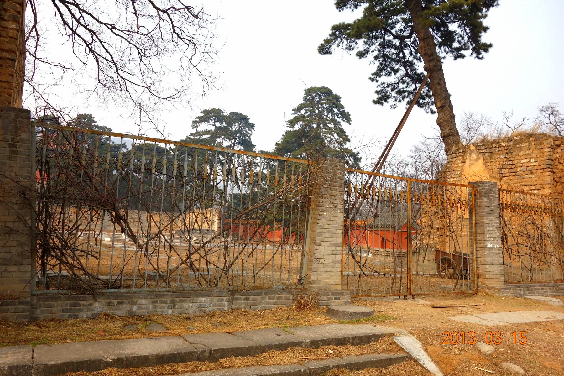 DSC06375 (2600x1733)_副本 (1800x1200).jpg