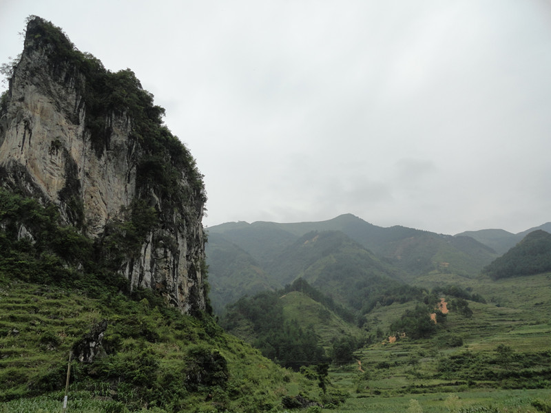 这个石头很独特
