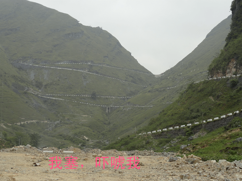 头有点晕嘿嘿要淡定