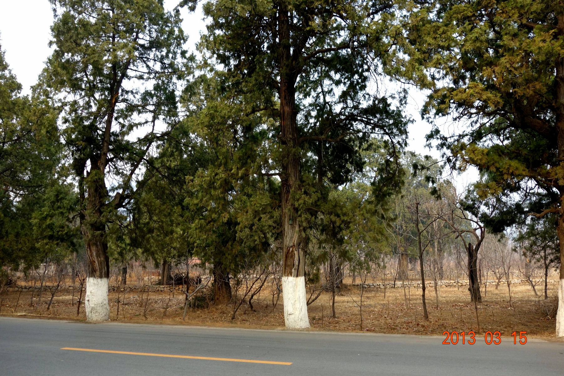 DSC06411 (2600x1733)_副本 (1800x1200).jpg