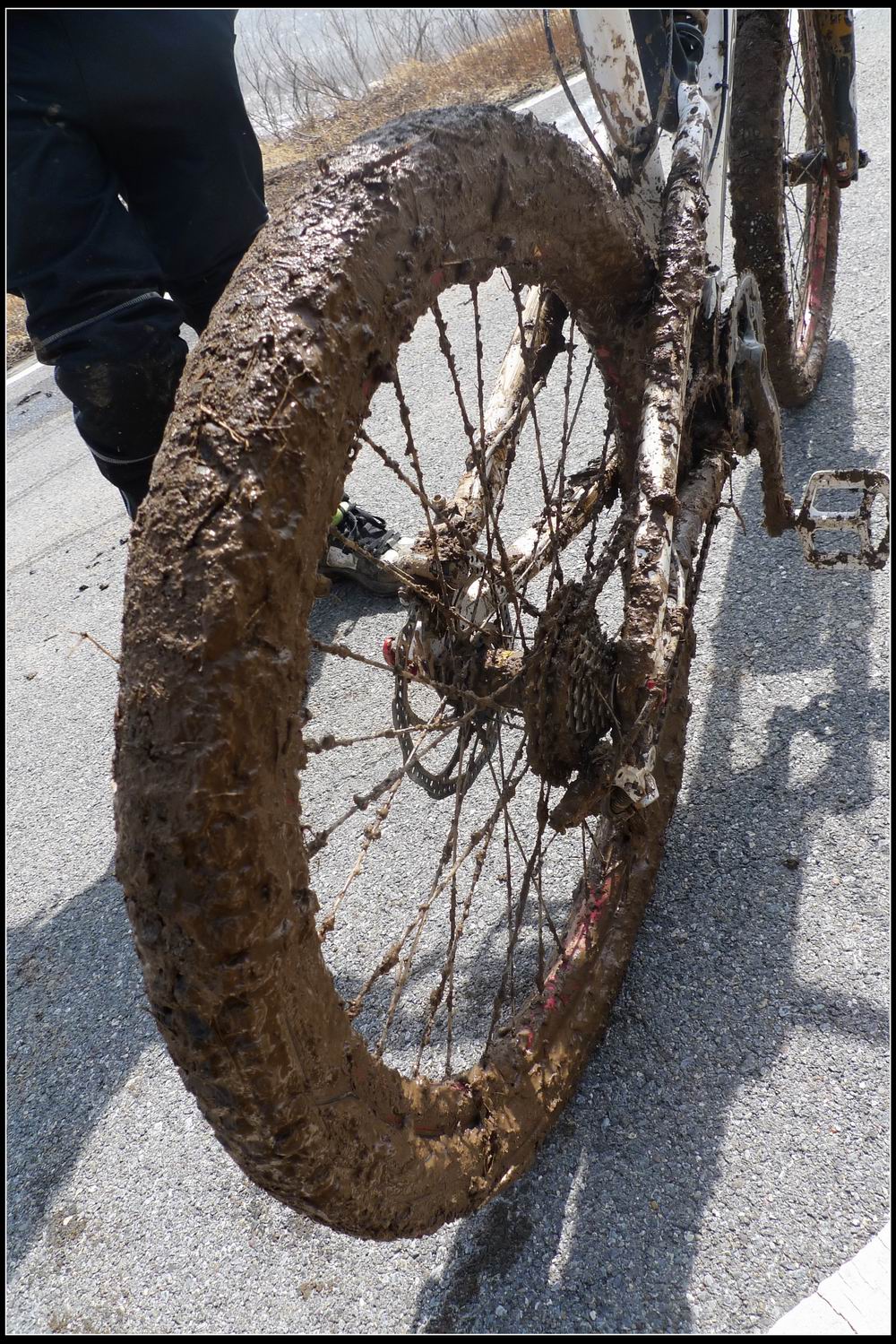 调整大小 nEO_IMG_P1070087.jpg