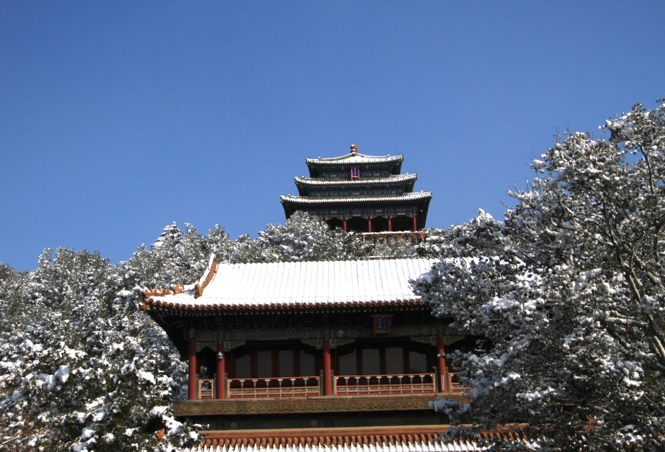 雪景_2013_03_20_08458.JPG