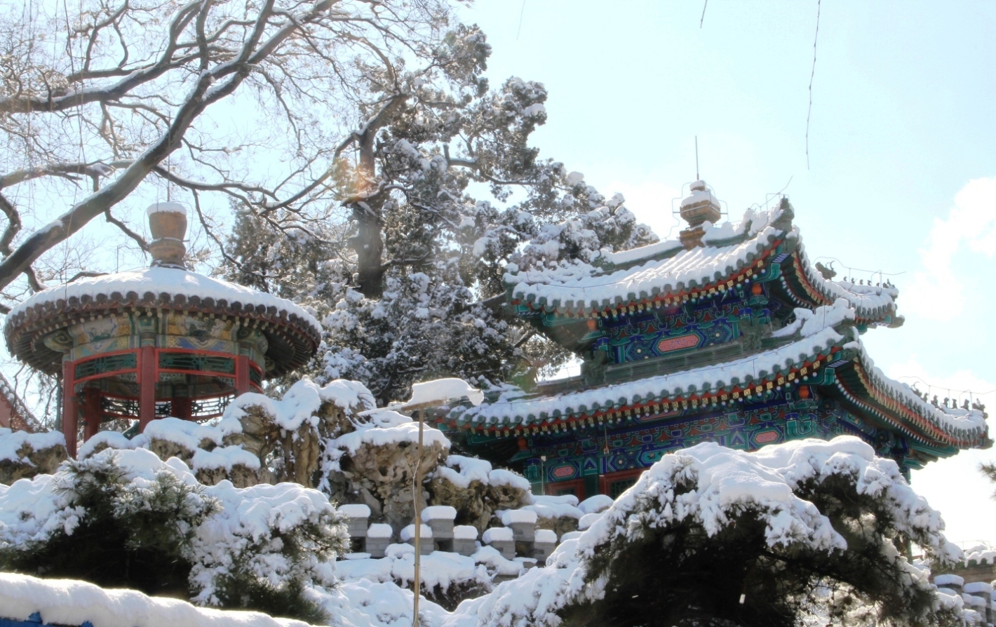 雪景_2013_03_20_08555.JPG