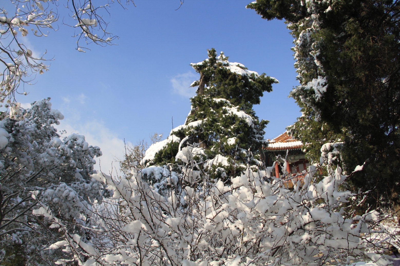雪景_2013_03_20_08467.JPG