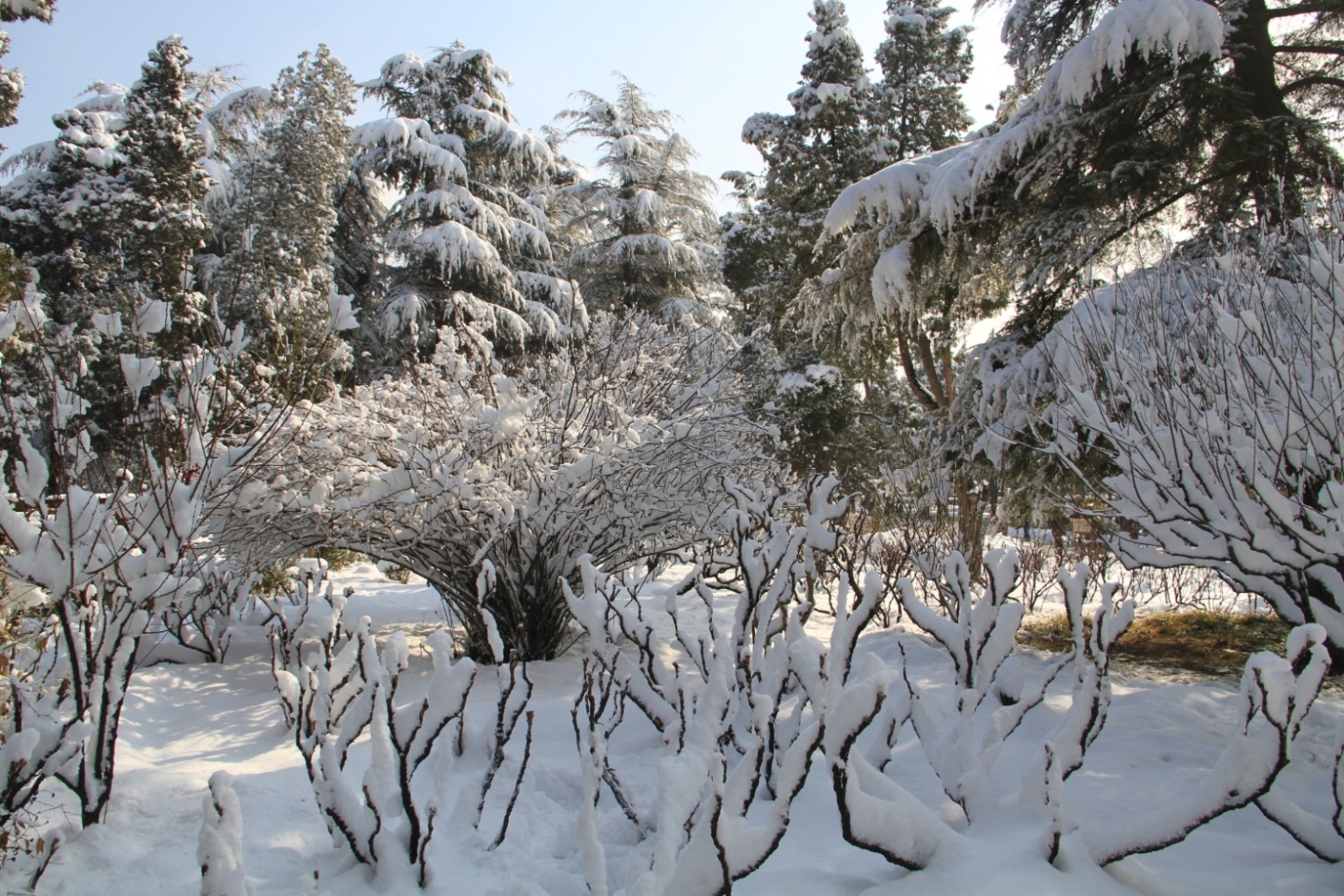 雪景_2013_03_20_08468.JPG