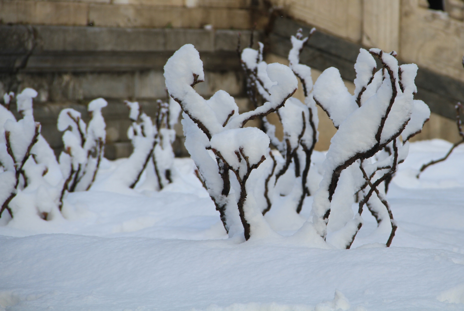 雪景_2013_03_20_08479.JPG