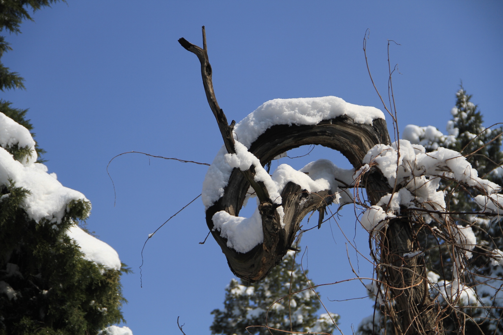 雪景_2013_03_20_08511.JPG