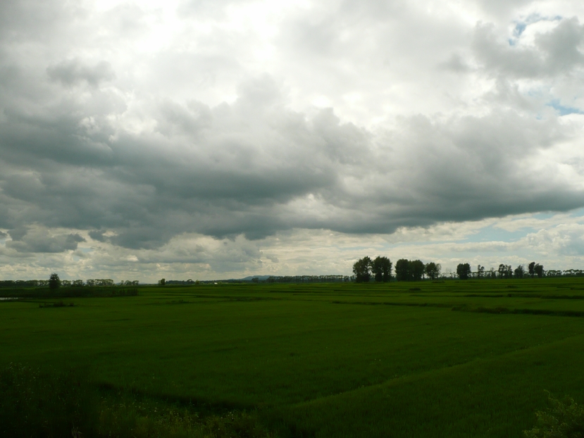 这儿的云彩显得特低。