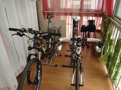 两个伙伴的合影