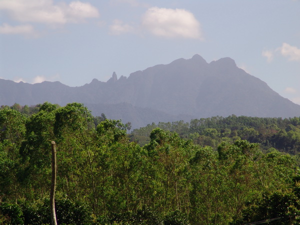 五指山