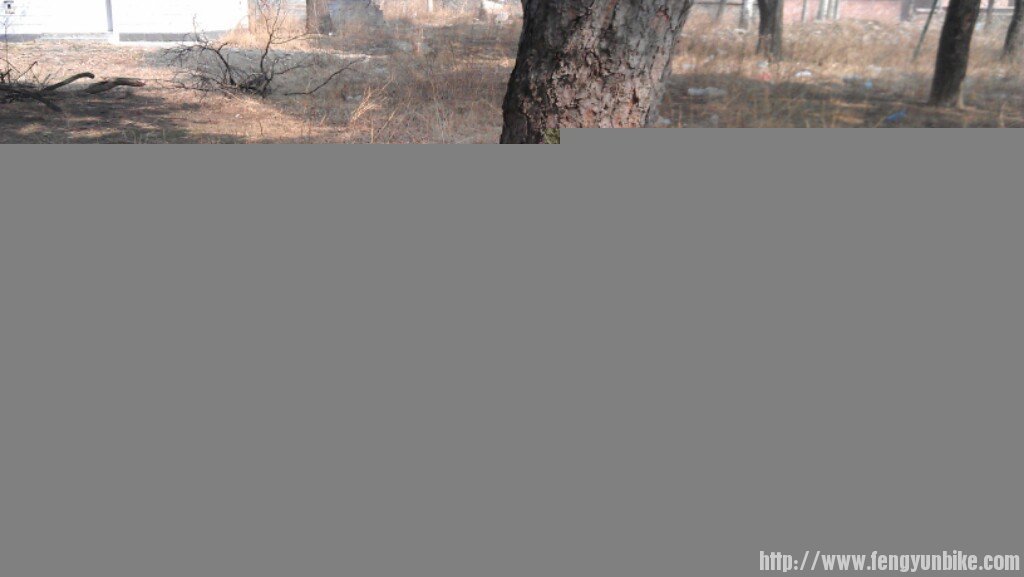 唐师傅的白龙马