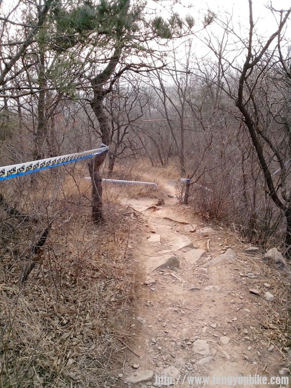 电视中看见的，自己也享受了。