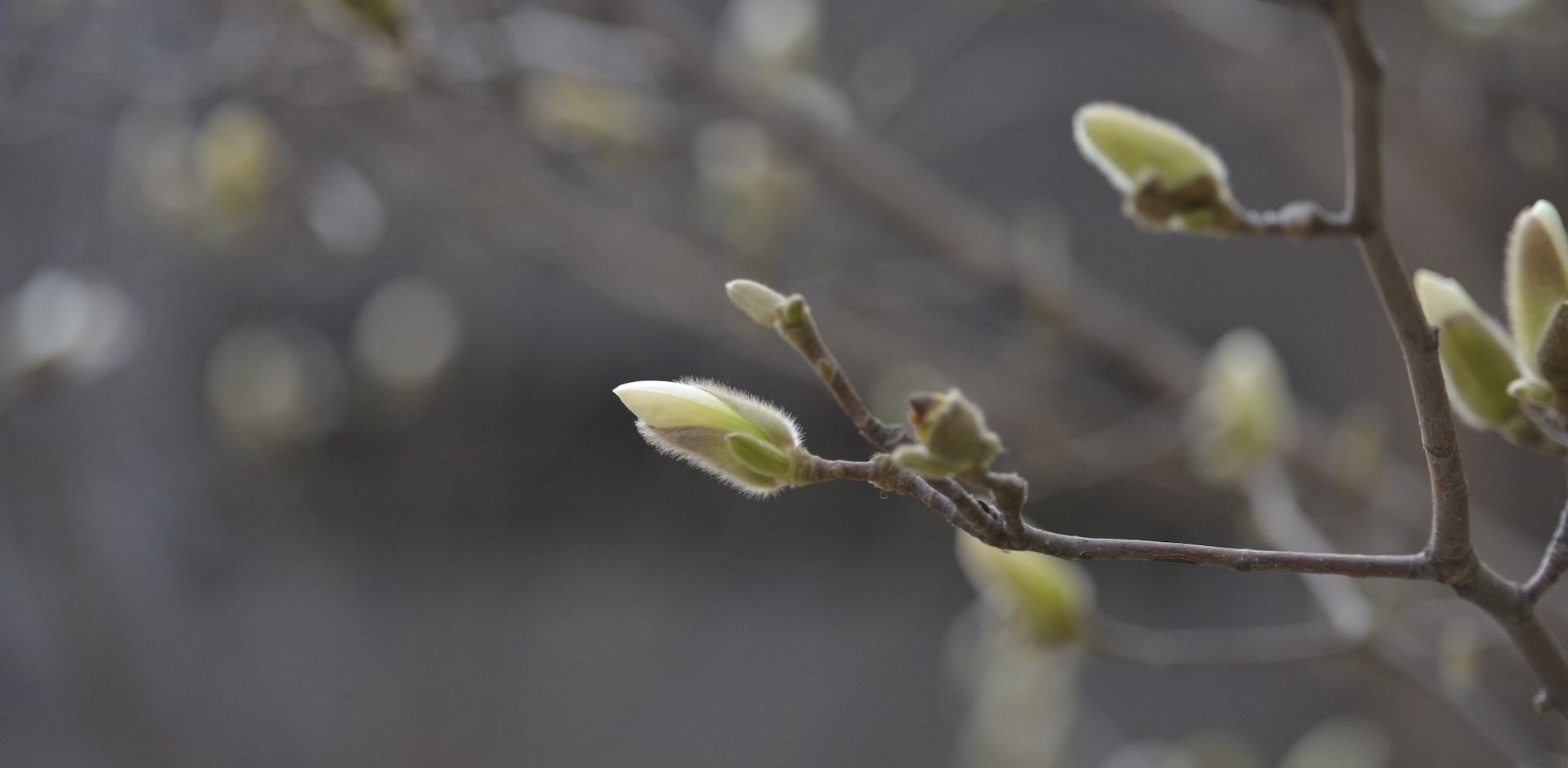 DSC_4636 - Version 2.JPG