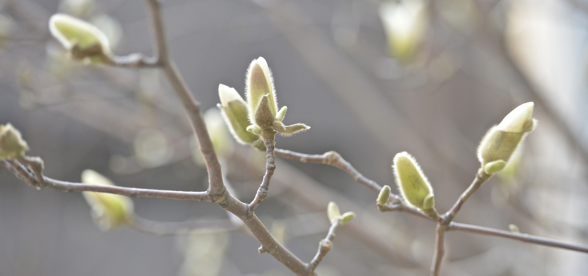 DSC_4637 - Version 2.JPG