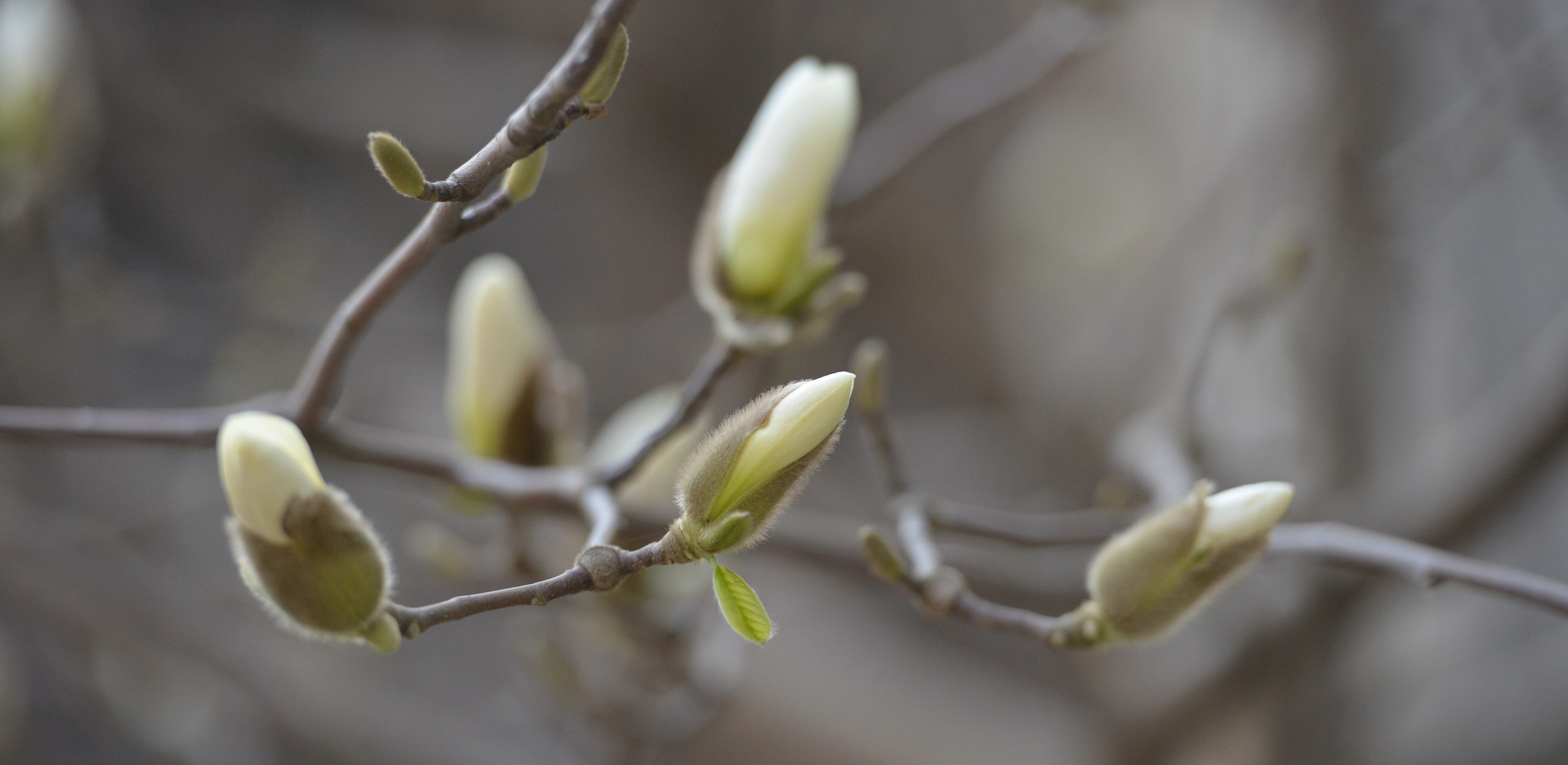 DSC_4643 - Version 2.JPG