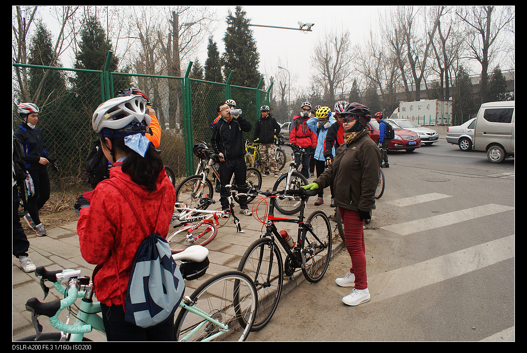 大家在休息时把单车停靠在路边
