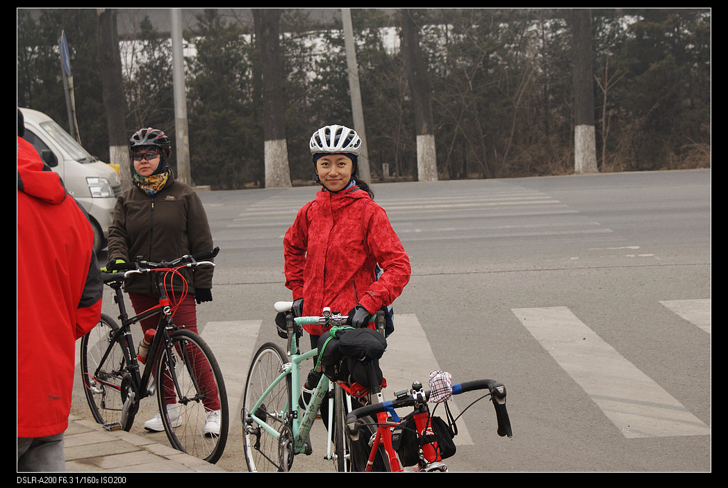 虽然天冷，但都很精神