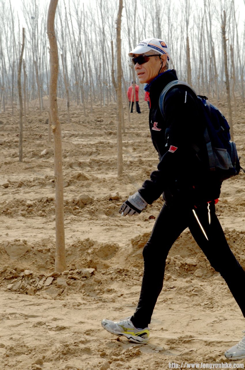 侯哥又抗树去了