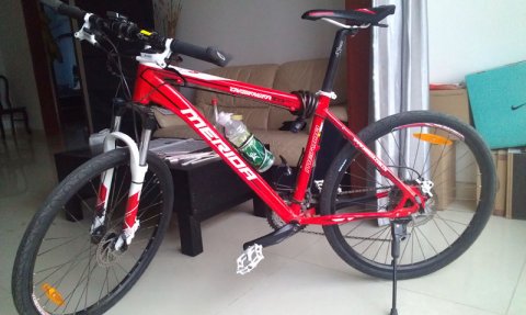 美利达挑战者300