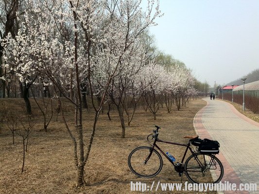 06胡各庄不只有西瓜