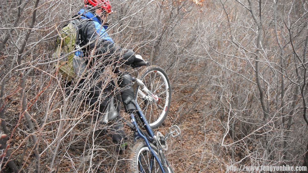 很多密林 极难行走 在这里消耗了大量体力