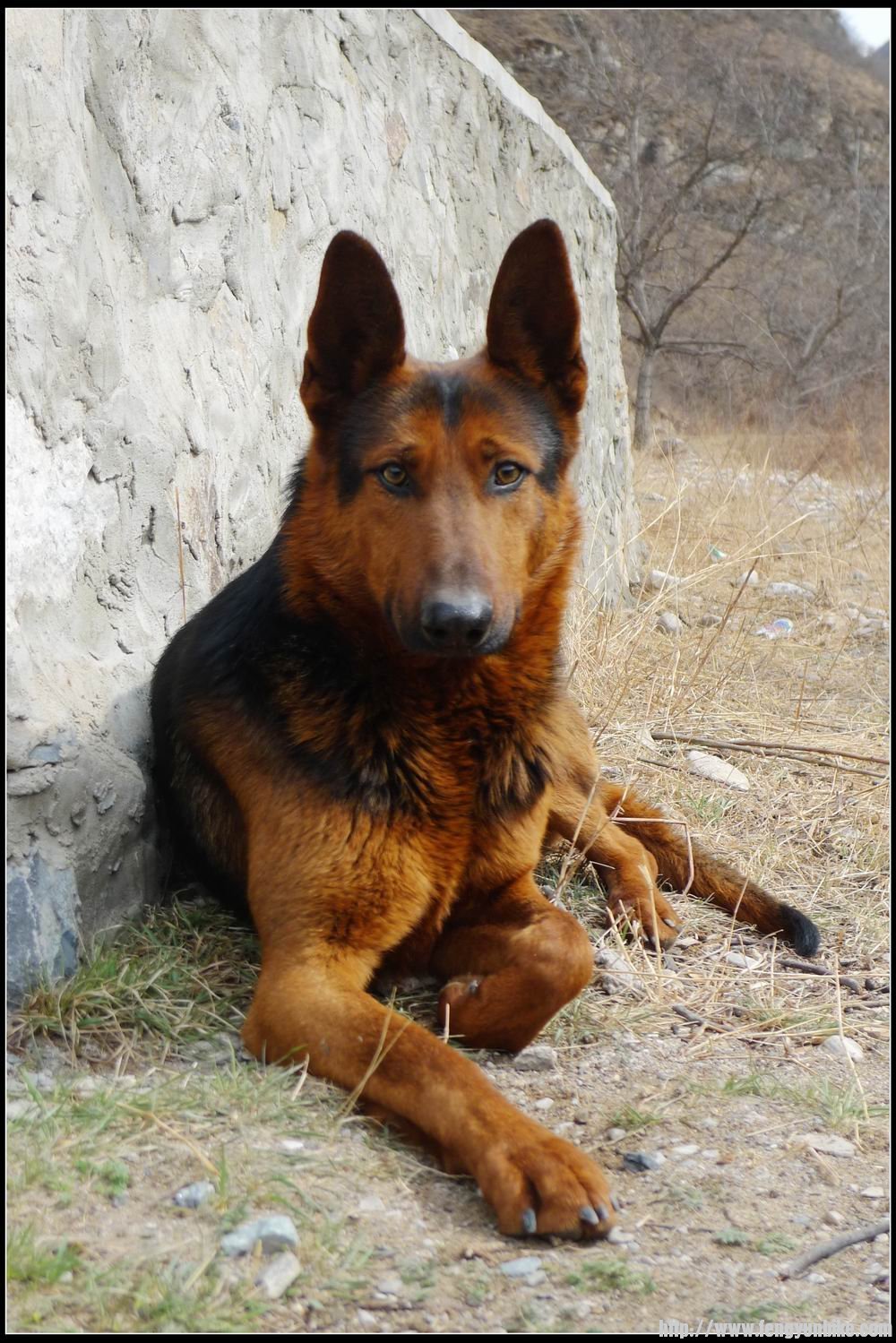 调整大小 nEO_IMG_P1070283.jpg